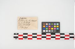 Etikett zu Bronzescheibenkopfnadel (NHMW-PRAE-025604)